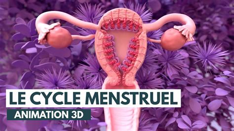 menstruation videos